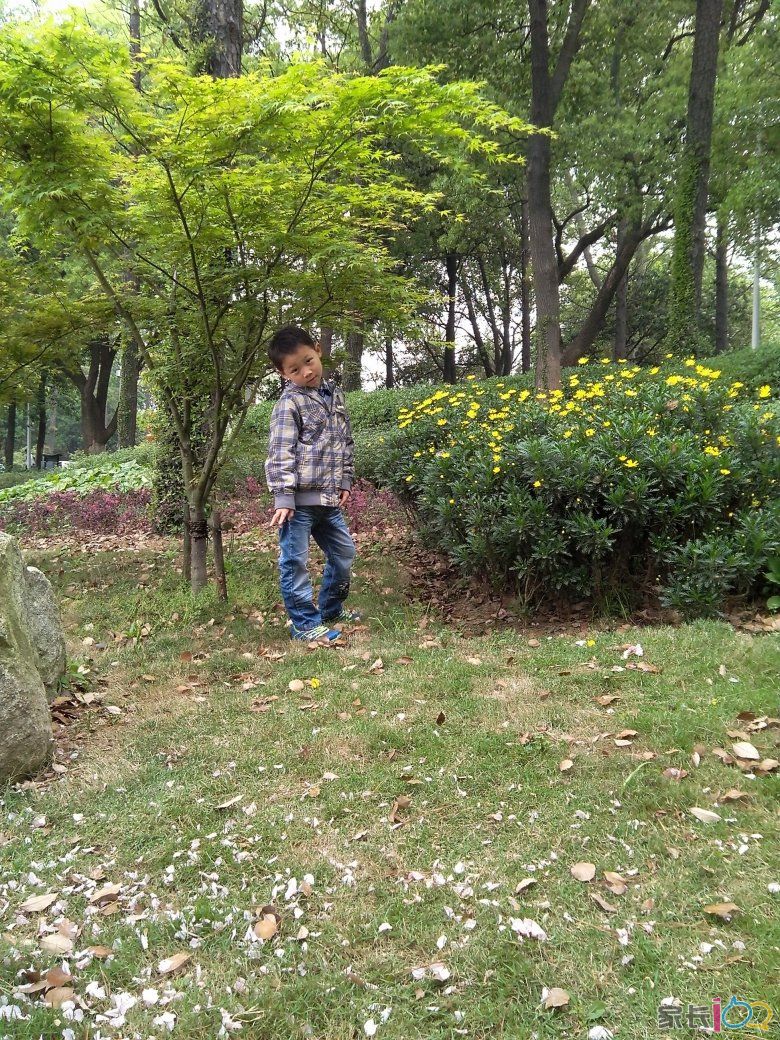 【清明踏青好时节】第一天,第二天,第三天.