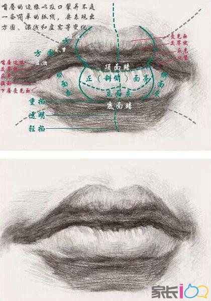 素描头像训练中五官嘴巴画法详解