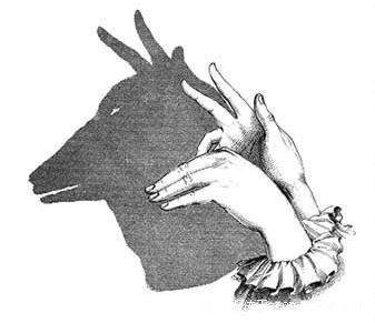 有趣的手影,为孩子收藏! - 家长100 - powered by discuz!